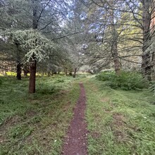 Michael Park - Point Reyes Loop (CA)