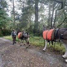 Michael Park - Point Reyes Loop (CA)