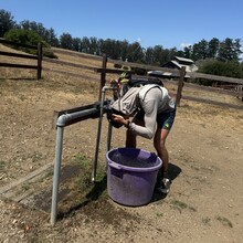 Michael Park - Point Reyes Loop (CA)