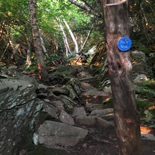 Yung Cohen - Devil's Path - Long Path - Escarpment Trail (NY)