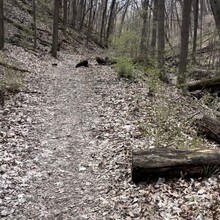 Wojciech Jonczyk - Palos Trail System (IL)