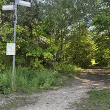Andrew Pham - Grüne Hauptwege Berlin: Weg 5 - Nord-Süd-Weg