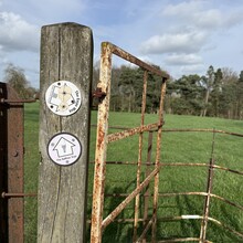 Ben Morris - Saffron Trail (United Kingdom)