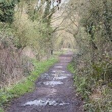 Ben Morris - Saffron Trail (United Kingdom)