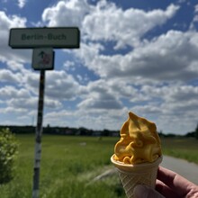 Andrew Pham - Grüne Hauptwege Berlin: Weg 5 - Nord-Süd-Weg