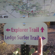 Marcy Beard - The Tukson 50