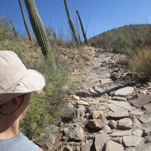 Marcy Beard - The Tukson 50