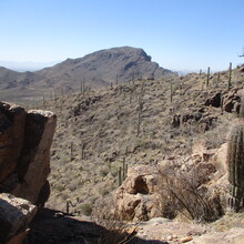 Marcy Beard - The Tukson 50