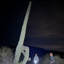 Sarah June - Maricopa Loop (AZ)