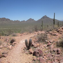 Marcy Beard - The Tukson 50