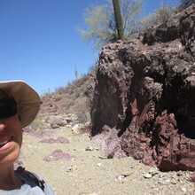 Marcy Beard - The Tukson 50