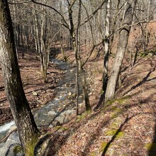 Daniel Arnold - Lake Ouachita Vista Trail (AR)