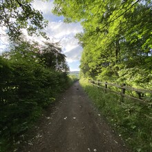 Alasdair Purkis - Broxtowe Trail (United Kingdom)