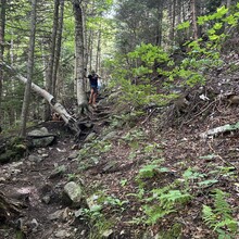 Debbie Livingston, Scott Livingston, Shepard Livingston - Mt Hale (NH)