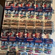 Jamieson Hatt - Bruce Trail (ON, Canada)