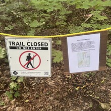 Jamieson Hatt - Bruce Trail (ON, Canada)