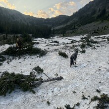 Steven Graham - Crazy Mountain Loop (MT)