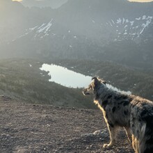 Steven Graham - Crazy Mountain Loop (MT)