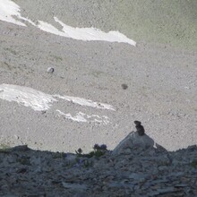 Marcy Beard, John Beard - Spencer + Grand Turk + Sultan Traverse