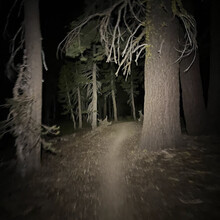 Krista Fasciano - Tahoe Rim Trail (CA)