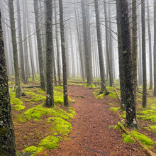 Cayla Marvil - Acadia West Side Traverse (ME)