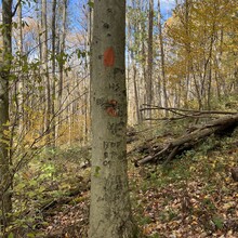 Curt Beveridge - Chuck Keiper Trail (PA)