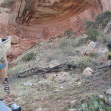 Marcy Beard - Sand Canyon, All the Trails (CO)