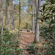Curt Beveridge - Chuck Keiper Trail (PA)