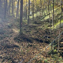 Curt Beveridge - Chuck Keiper Trail (PA)