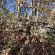 Curt Beveridge - Chuck Keiper Trail (PA)