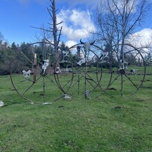 Jamieson Hatt - Ice Age Trail (WI)