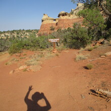 Marcy Beard - Sand Canyon, All the Trails (CO)