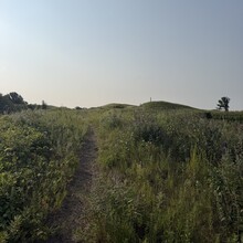 Tammy Jacobson - Hankinson Hills Loop (ND)