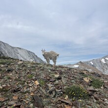 Cole Campbell - Alps of Oregon:  Matterhorn & Sacajawea (OR)