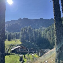 Andrea Mondini - Alpenrosenweg (Italy)