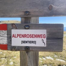 Andrea Mondini - Alpenrosenweg (Italy)