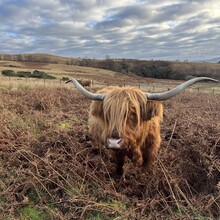 Keri Wallace - West Highland Way (United Kingdom)