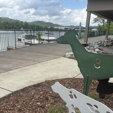 Heath Harrell - Chattanooga Riverwalk