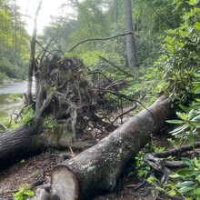 Kat Schuller - Chattooga River Trail to Fork Mountain to Foothills Trail Loop