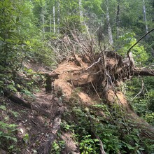 Kat Schuller - Chattooga River Trail to Fork Mountain to Foothills Trail Loop