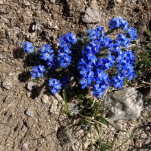 Matthew Matta - Truchas Peak (NM)