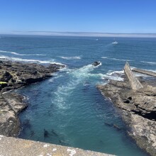 Jameson Collins - Oregon Coast Trail (OR)