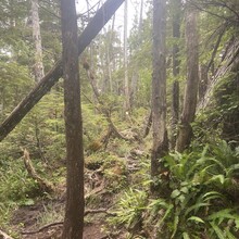 Loic Jougla, Margaux Narbey - North Coast Trail (BC, Canada)