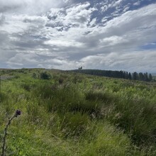 Stephen Hurren - Pennine Way (UK)