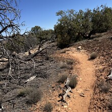 Courtney Clifton - Fish n’ Owl Canyon Loop (UT)