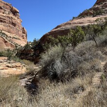 Courtney Clifton - Fish n’ Owl Canyon Loop (UT)