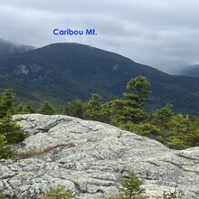 Charlie Tillett - Caribou-Speckled Loop (ME)