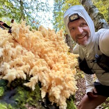 Dave Scheibel - Mt Hinman