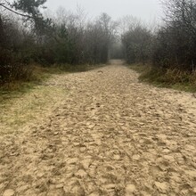 Julien Lacoste - Dune du Mont Saint Frieux (France)