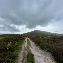 Daniel Weller - Black Mountains Circular (United Kingdom)